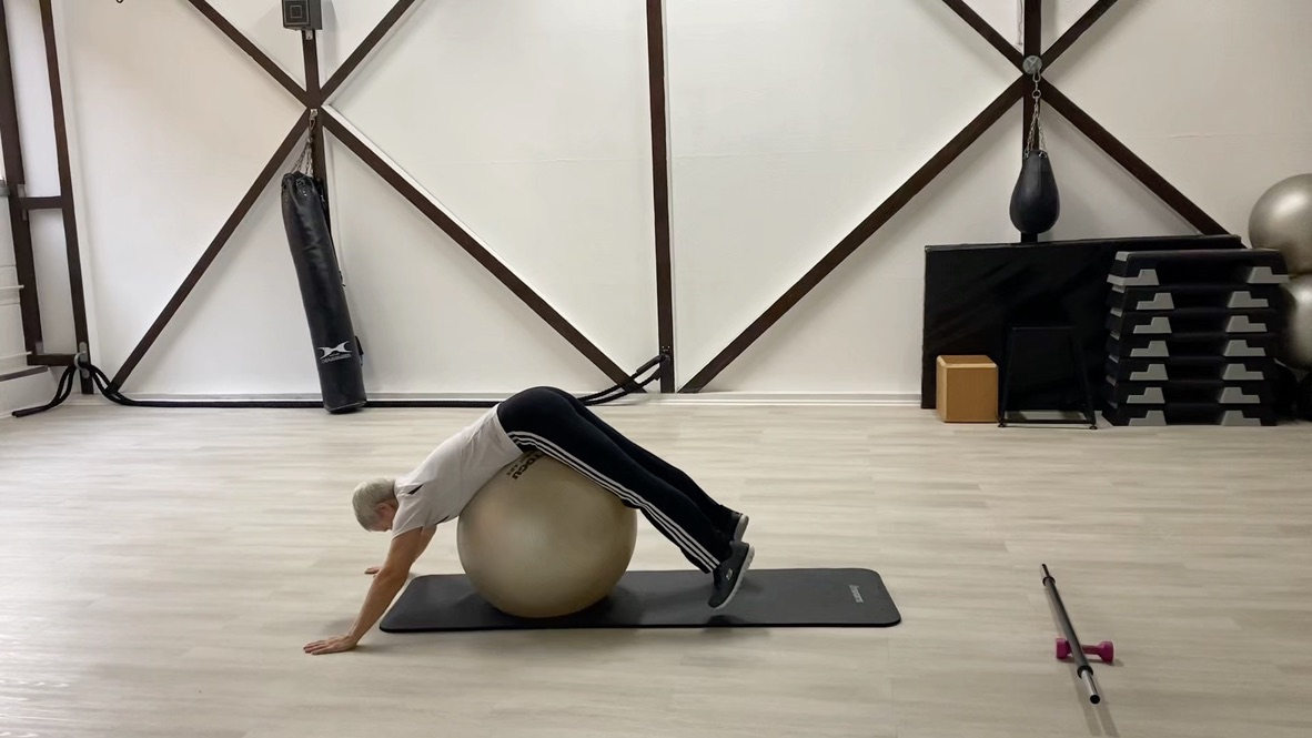 Zirkeltraining: Teilnehmer am Swissball